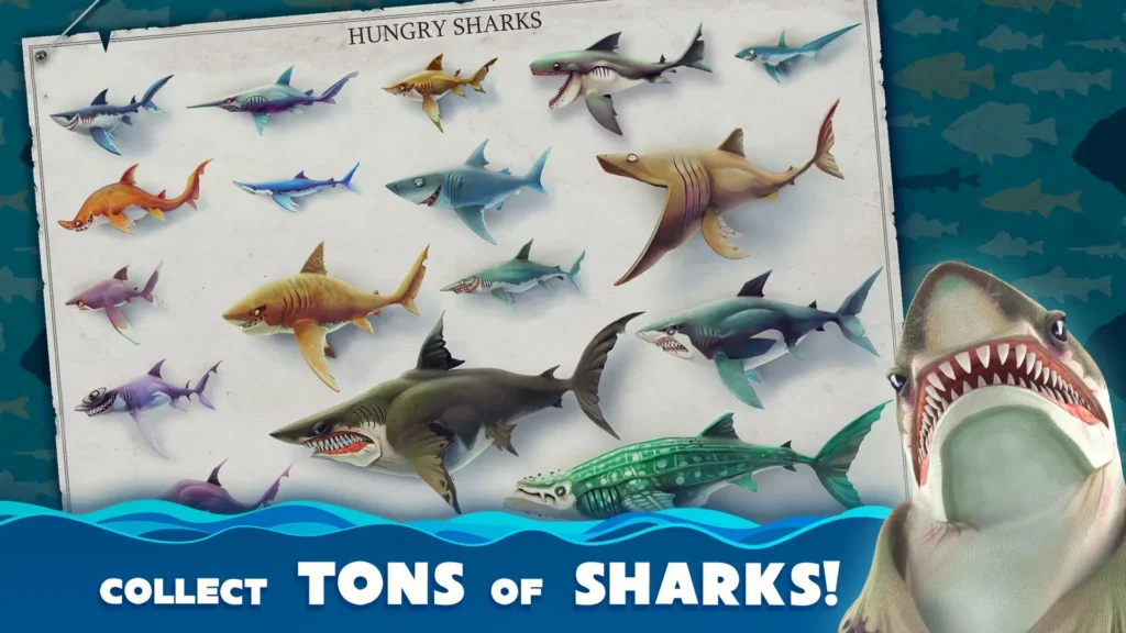 All Sharks Unlocked